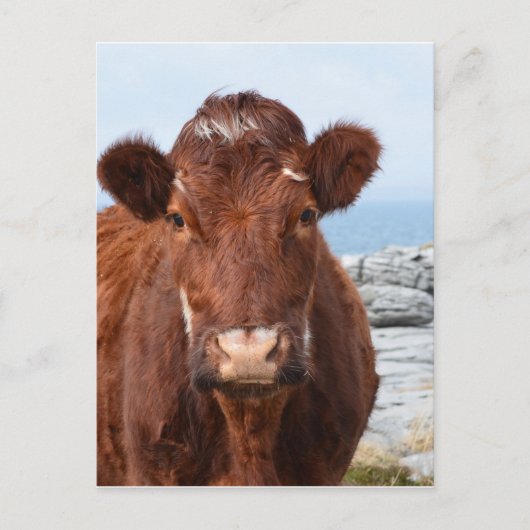 Product aanpassen briefkaart (Voorkant)