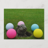 Product aanpassen briefkaart (Voorkant)