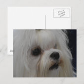 Product aanpassen briefkaart (Voorkant / Achterkant)