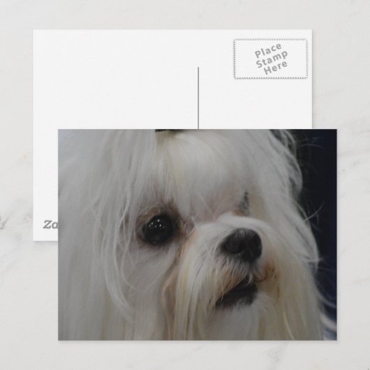 Product aanpassen briefkaart (Voorkant / Achterkant)