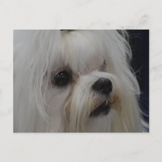 Product aanpassen briefkaart (Voorkant)