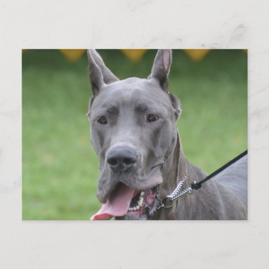 Product aanpassen briefkaart (Voorkant)