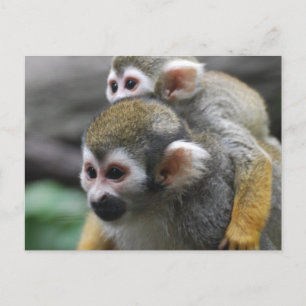 Product aanpassen briefkaart