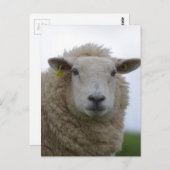 Product aanpassen briefkaart (Voorkant / Achterkant)