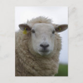 Product aanpassen briefkaart (Voorkant)