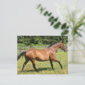 Product aanpassen briefkaart (Staand voorkant)