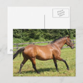 Product aanpassen briefkaart (Voorkant / Achterkant)