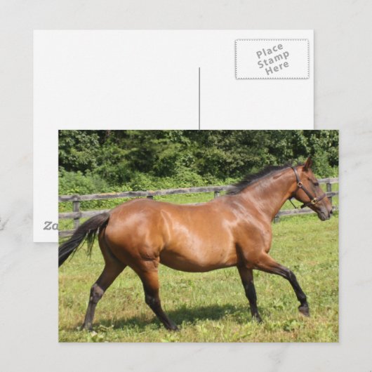 Product aanpassen briefkaart (Voorkant / Achterkant)