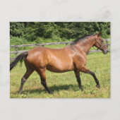 Product aanpassen briefkaart (Voorkant)