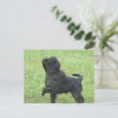 Product aanpassen briefkaart (Staand voorkant)