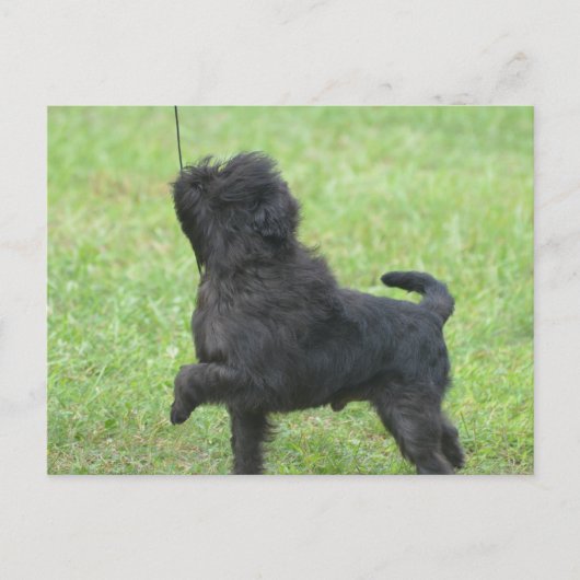 Product aanpassen briefkaart (Voorkant)