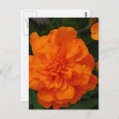 Product aanpassen briefkaart (Voorkant / Achterkant)