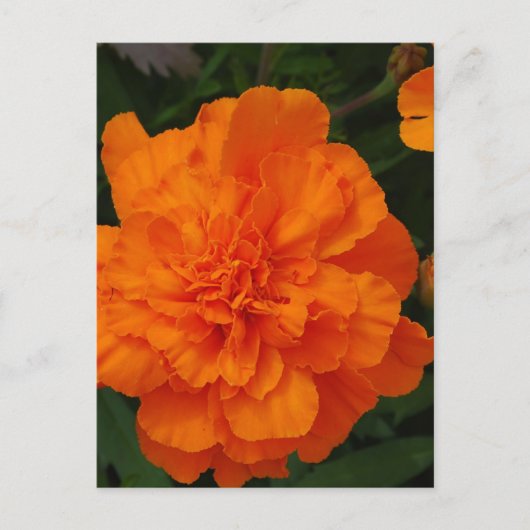 Product aanpassen briefkaart (Voorkant)