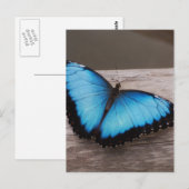 Product aanpassen briefkaart (Voorkant / Achterkant)