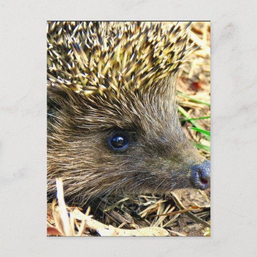 Product aanpassen briefkaart (Voorkant)