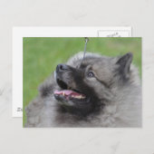 Product aanpassen briefkaart (Voorkant / Achterkant)