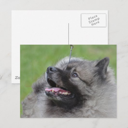 Product aanpassen briefkaart (Voorkant / Achterkant)