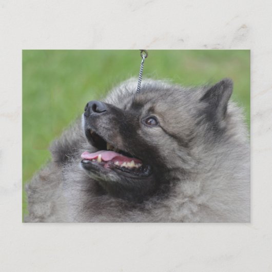 Product aanpassen briefkaart (Voorkant)