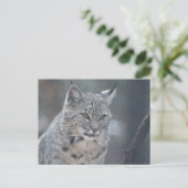 Product aanpassen briefkaart (Staand voorkant)