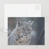 Product aanpassen briefkaart (Voorkant / Achterkant)