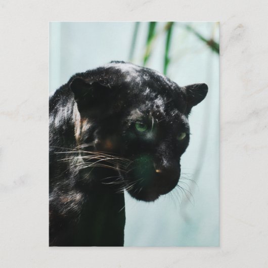 Product aanpassen briefkaart (Voorkant)