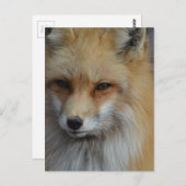 Product aanpassen briefkaart (Voorkant / Achterkant)