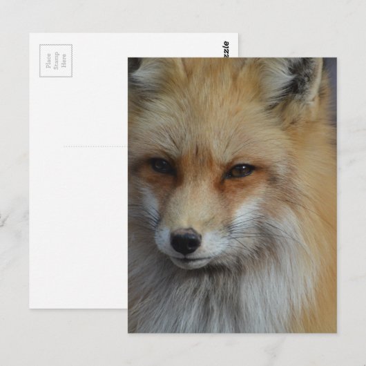 Product aanpassen briefkaart (Voorkant / Achterkant)