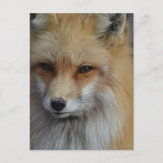 Product aanpassen briefkaart (Voorkant)