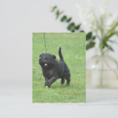 Product aanpassen briefkaart (Staand voorkant)