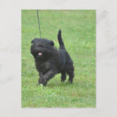 Product aanpassen briefkaart (Voorkant)