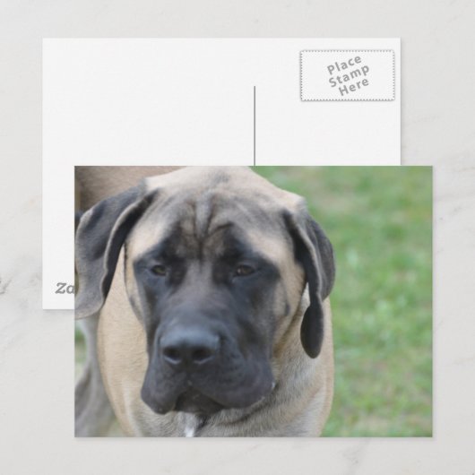 Product aanpassen briefkaart (Voorkant / Achterkant)