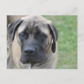 Product aanpassen briefkaart (Voorkant)