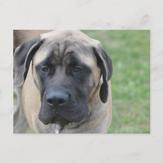 Product aanpassen briefkaart (Voorkant)