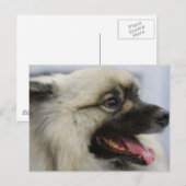 Product aanpassen briefkaart (Voorkant / Achterkant)