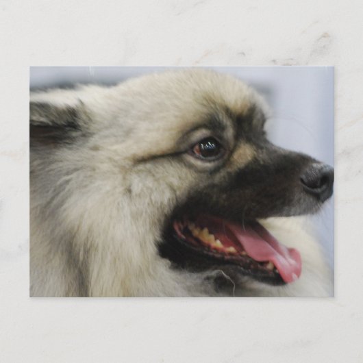 Product aanpassen briefkaart (Voorkant)