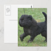 Product aanpassen briefkaart (Voorkant / Achterkant)