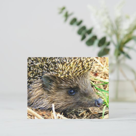 Product aanpassen briefkaart (Staand voorkant)