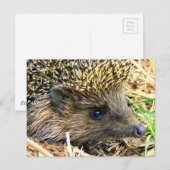 Product aanpassen briefkaart (Voorkant / Achterkant)