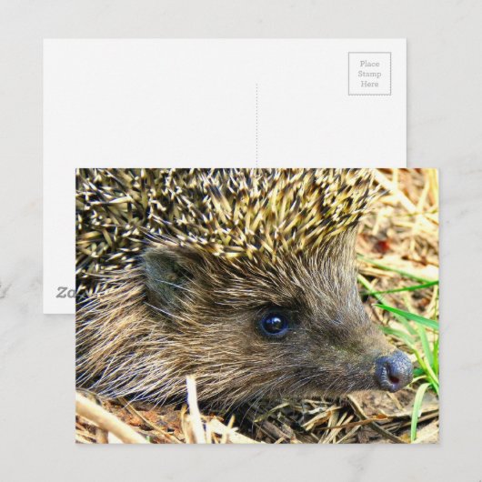 Product aanpassen briefkaart (Voorkant / Achterkant)