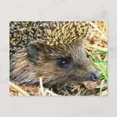 Product aanpassen briefkaart (Voorkant)