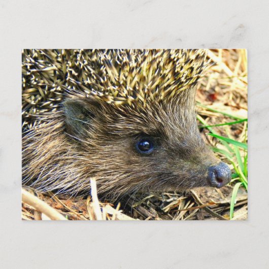 Product aanpassen briefkaart (Voorkant)