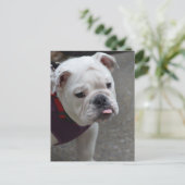 Product aanpassen briefkaart (Staand voorkant)