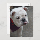 Product aanpassen briefkaart (Voorkant / Achterkant)