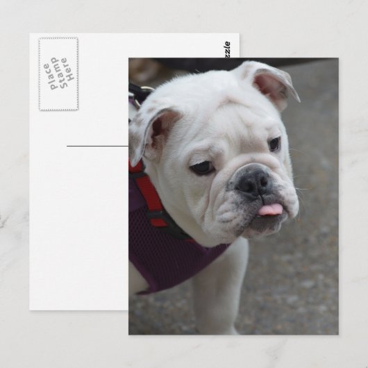 Product aanpassen briefkaart (Voorkant / Achterkant)