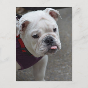 Product aanpassen briefkaart