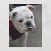 Product aanpassen briefkaart (Voorkant)