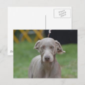 Product aanpassen briefkaart (Voorkant / Achterkant)
