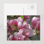 Product aanpassen briefkaart (Voorkant / Achterkant)