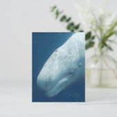 Product aanpassen briefkaart (Staand voorkant)