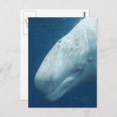 Product aanpassen briefkaart (Voorkant / Achterkant)